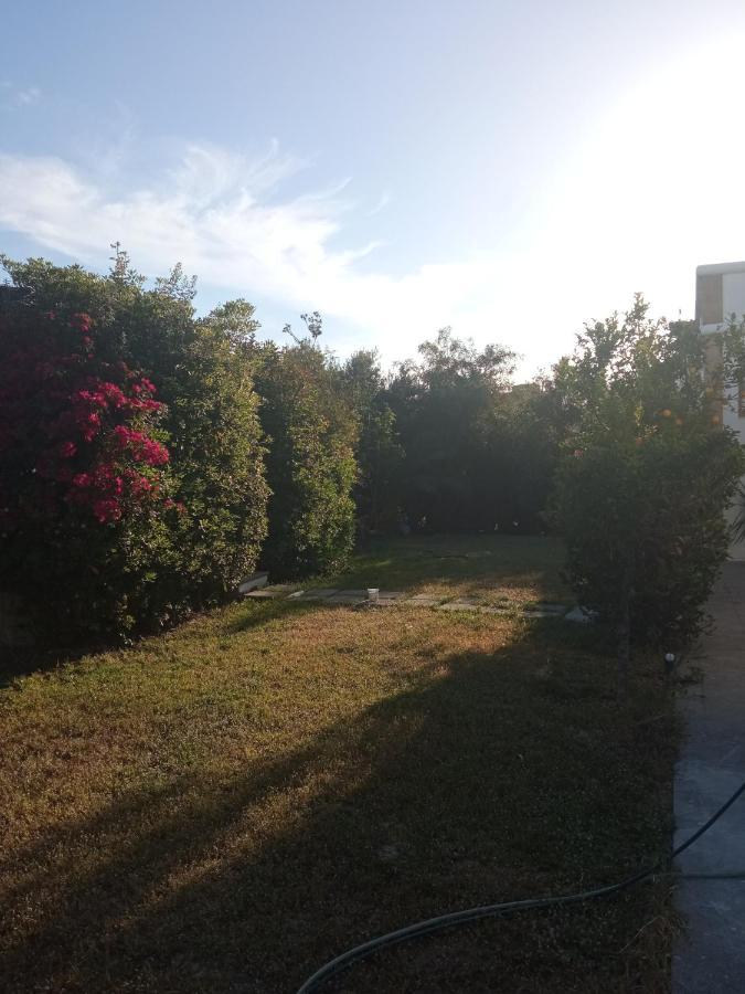 Apartmán Atheneon Rhodes Theológos Exteriér fotografie